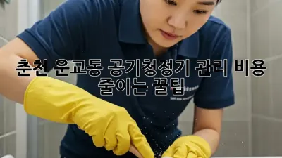 춘천 운교동 공기청정기 관리 비용 줄이는 꿀팁!