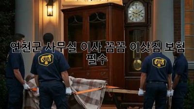 연천군 사무실 이사? 꼼꼼 이삿짐 보험 필수! 🏢🚚🛡️