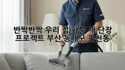 ✨반짝반짝✨ 우리 집 화분, 새 단장 프로젝트! #부산 #동래구 #온천동