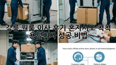 강릉 원룸 이사 후기: 혼자서도 척척! 용달이사 성공 비법