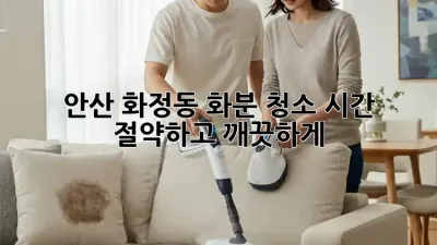 안산 화정동 화분 청소, 시간 절약하고 깨끗하게!