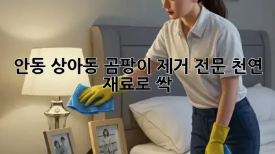 🏡 안동 상아동 곰팡이 제거 전문! 천연 재료로 싹! ✨