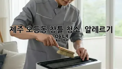 제주 오등동 창틀 청소 : 알레르기, 안녕!