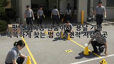 평택 모곡동 원룸이사 🚚 용달 기사 똑똑하게 찾는 법! #이사견적 #저렴한곳