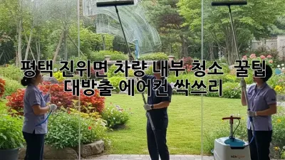 평택 진위면 차량 내부 청소 ✨ 꿀팁 대방출! 에어컨 싹쓰리! 💨