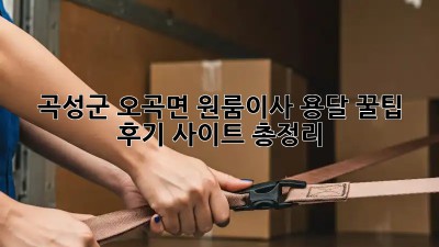 곡성군 오곡면 원룸이사 용달🚚 꿀팁🍯 후기 사이트 총정리!