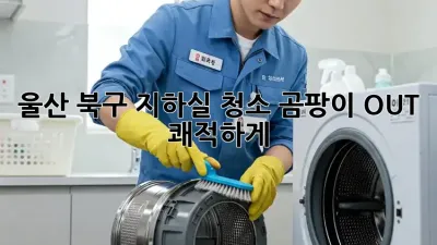 울산 북구 지하실 청소🧹 곰팡이 OUT! 쾌적하게✨