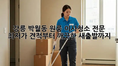 강릉 박월동 원룸 이사청소 전문: 최저가 견적부터 깨끗한 새출발까지! ✨