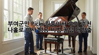 부여군민 Pick! ✨ 원룸이사 후기 추천 : 나홀로 이사 성공 비법 꿀팁 대방출 🍯