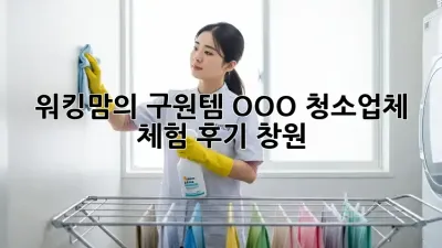 워킹맘의 ✨구원템✨ OOO 청소업체 체험 후기 (창원)