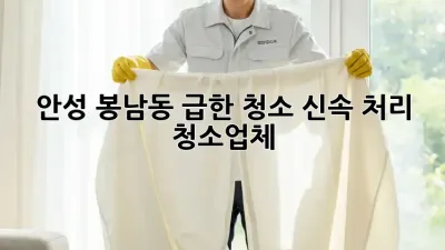 안성 봉남동 급한 청소? 신속 처리 청소업체!