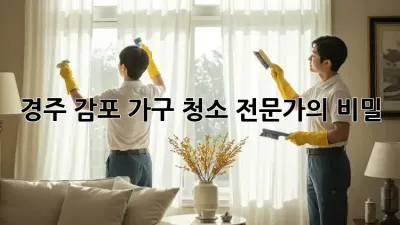 경주 감포 가구 청소 전문가의 비밀! ✨