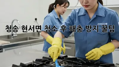 청송 현서면🏡 청소 후 해충 방지 꿀팁! 🐜🐛