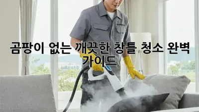 곰팡이 없는 깨끗한 창틀 청소: 완벽 가이드