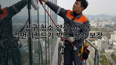 침구 청소: 양산 신기동 집먼지진드기 박멸 & 꿀잠 보장!