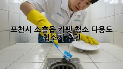 포천시 소흘읍 카펫 청소? 다용도 청소기 추천!