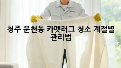 청주 운천동 카펫&러그 청소, 계절별 관리법