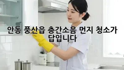 안동 풍산읍 층간소음? 먼지 청소가 답입니다!