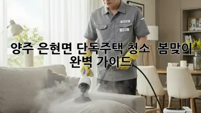 양주 은현면🏡 단독주택 청소 ✨ 봄맞이 완벽 가이드