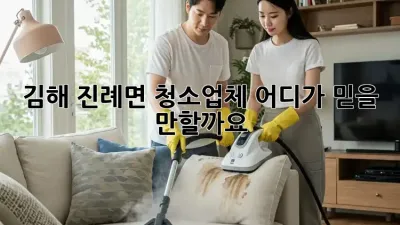 김해 진례면 청소업체, 어디가 믿을 만할까요?
