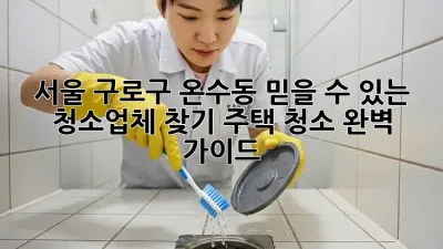 서울 구로구 온수동 믿을 수 있는 청소업체 찾기: 주택 청소 완벽 가이드