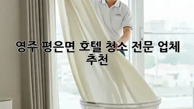 영주 평은면 호텔 청소 전문 업체 추천