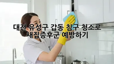 대전 유성구 갑동 침구 청소로 새집증후군 예방하기