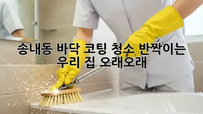 ✨송내동 바닥 코팅 청소✨ 반짝이는 우리 집, 오래오래! 🏡