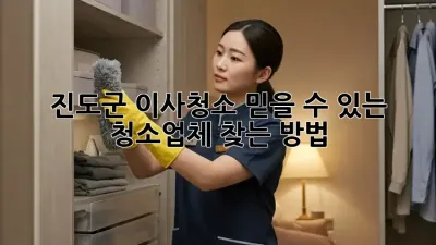 진도군 이사청소, 믿을 수 있는 청소업체 찾는 방법