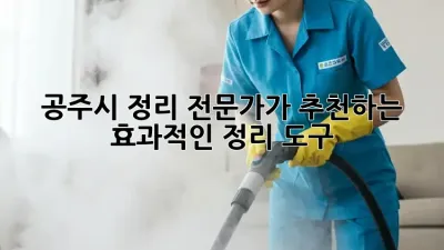 공주시 정리 전문가가 추천하는 효과적인 정리 도구