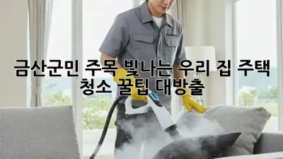 ✨ 금산군민 주목! 빛나는 우리 집, 주택 청소 꿀팁 대방출 🏠