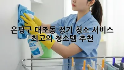 은평구 대조동🏠 정기 청소 서비스, ✨최고의 청소템✨ 추천