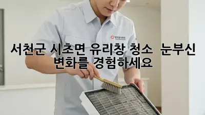 ✨ 서천군 시초면 유리창 청소, ✨ 눈부신 변화를 경험하세요!