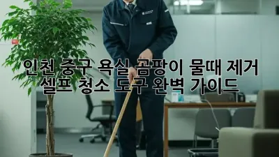 인천 중구 욕실 곰팡이, 물때 제거 셀프 청소 도구 완벽 가이드