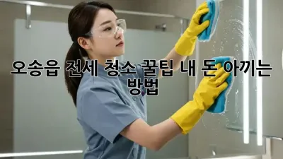오송읍 전세 청소 꿀팁🍯: 내 돈 아끼는 방법!