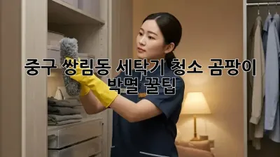 중구 쌍림동 세탁기 청소, 곰팡이 박멸 꿀팁! 🧺✨