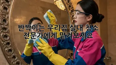 반짝이는 우리집, 실내 청소 전문가에게 맡겨보세요! ✨
