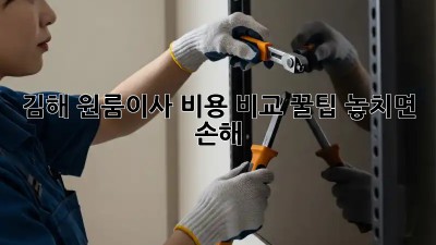 김해 원룸이사 비용 비교 꿀팁🍯 놓치면 손해!