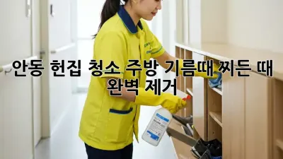 안동 헌집 청소: 주방 기름때, 찌든 때 완벽 제거!