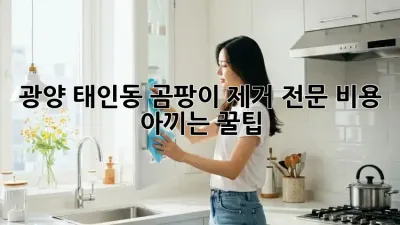 🏡 광양 태인동 곰팡이 제거 전문, 비용 아끼는 꿀팁! 💰