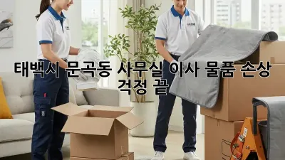 태백시 문곡동 사무실 이사, 물품 손상 걱정 끝!