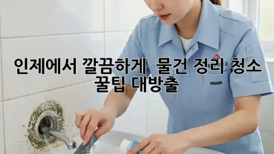 인제에서 깔끔하게! ✨ 물건 정리 청소 꿀팁 대방출 🏡