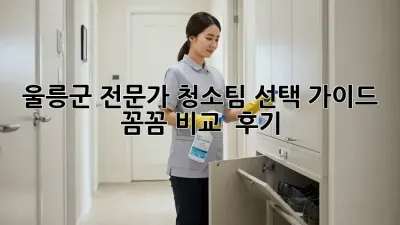 울릉군 전문가 청소팀 선택 가이드 ✨ 꼼꼼 비교 & 후기!