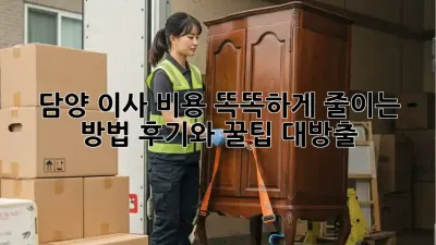 담양 이사, 비용 똑똑하게 줄이는 방법! 후기와 꿀팁 대방출