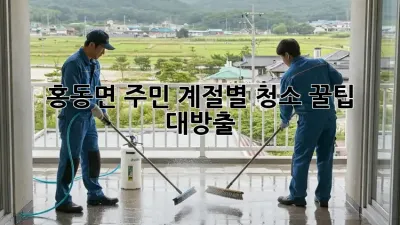 🏡 홍동면 주민必見! 계절별 청소 꿀팁 대방출 ✨