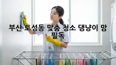 부산 토성동 맞춤 청소🧹: 댕냥이 맘 필독!