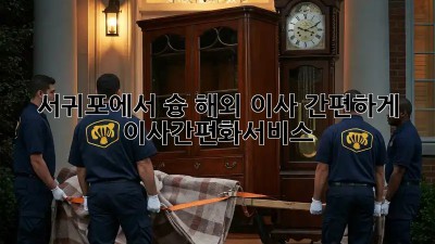 ✈️ 서귀포에서 슝! 해외 이사 간편하게 #이사간편화서비스