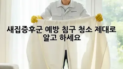 새집증후군 예방! 침구 청소, 제대로 알고 하세요