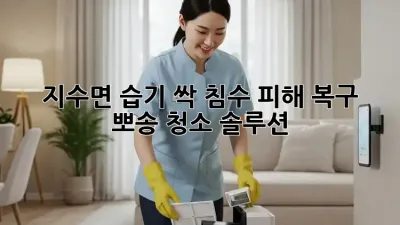 💦 지수면 습기 싹! 침수 피해 복구 & 뽀송 청소 솔루션 🏡