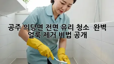 ✨ 공주 의당면 전면 유리 청소 ✨ 완벽 얼룩 제거 비법 공개! 🚗💨